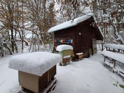 #37 von Urs & Izzy: Neu Website, Blog und viel mehr!