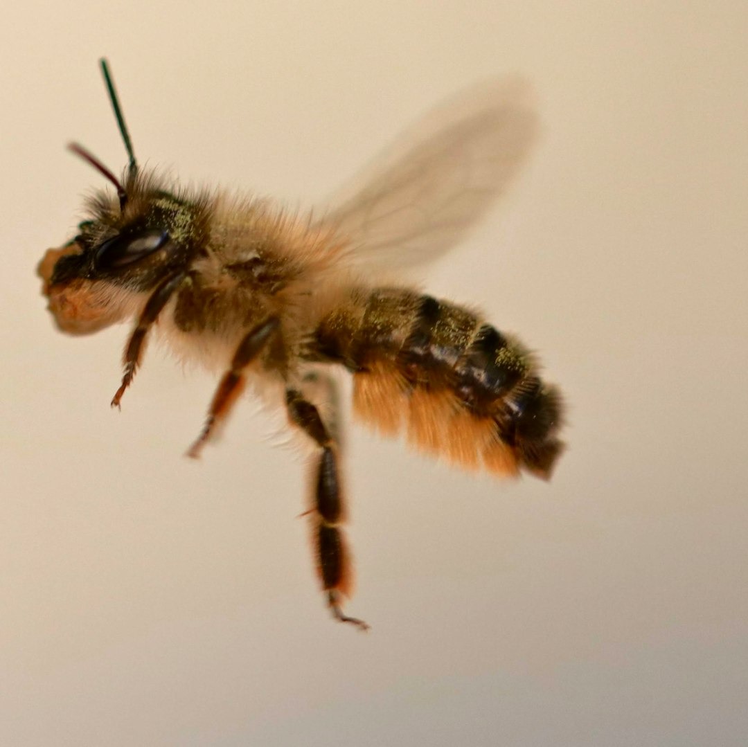 Exquisite etiquette!