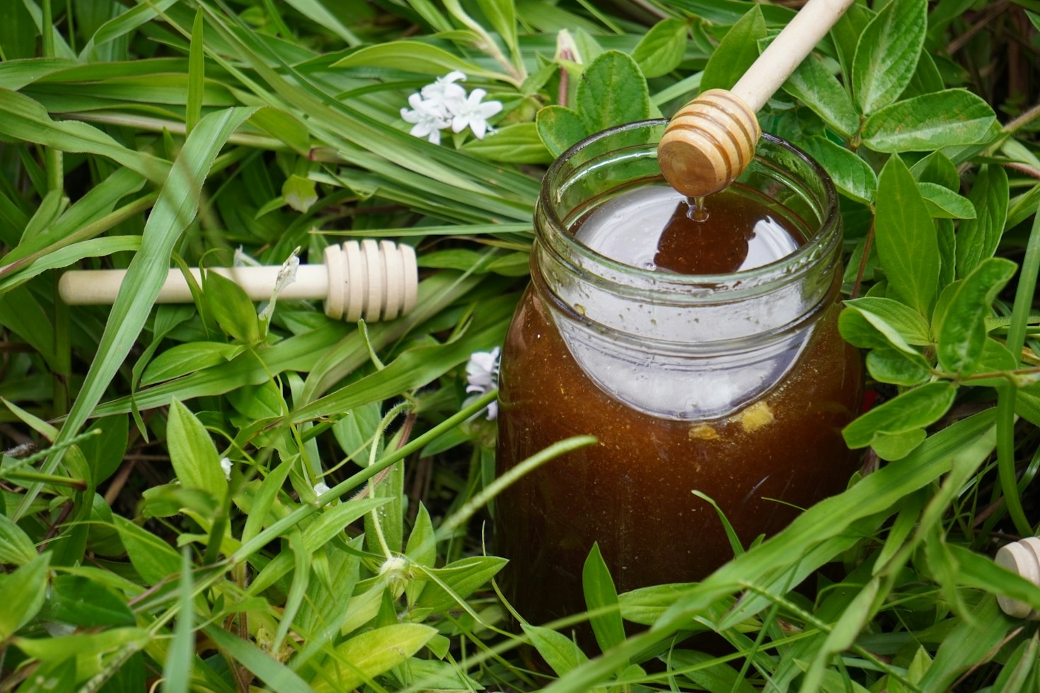 Building a Safe Beehouse for Pollinators